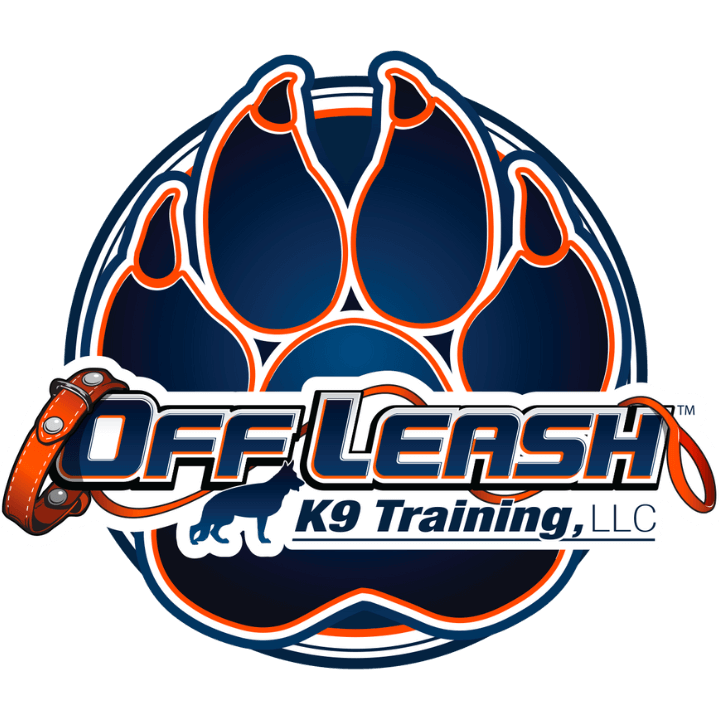 Off leash obedience training best sale