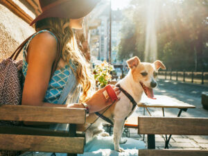 Paws-itively Perfect: Ultimate Guide to Planning a Dog-Friendly Vacation