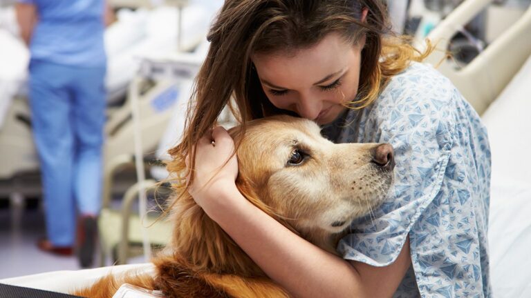 The Healing Paws: How Therapy Dogs Transform Healthcare