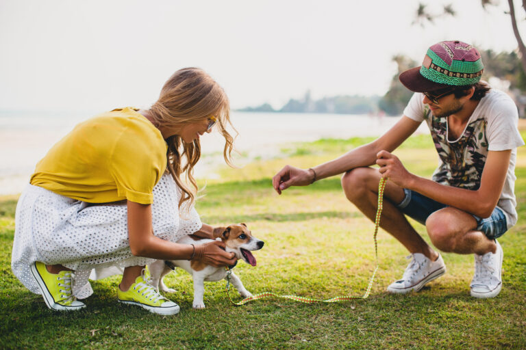 How to Socialize Your Dog Positively with Other Dogs and People