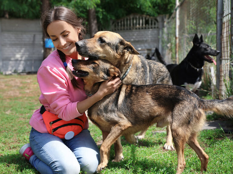 Tales of Hope: Inspiring Stories of Rescued Dogs Finding Happiness