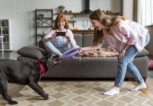 DIY puzzle toys for dogs