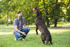 Tales of Hope: Inspiring Stories of Rescued Dogs Finding Happiness