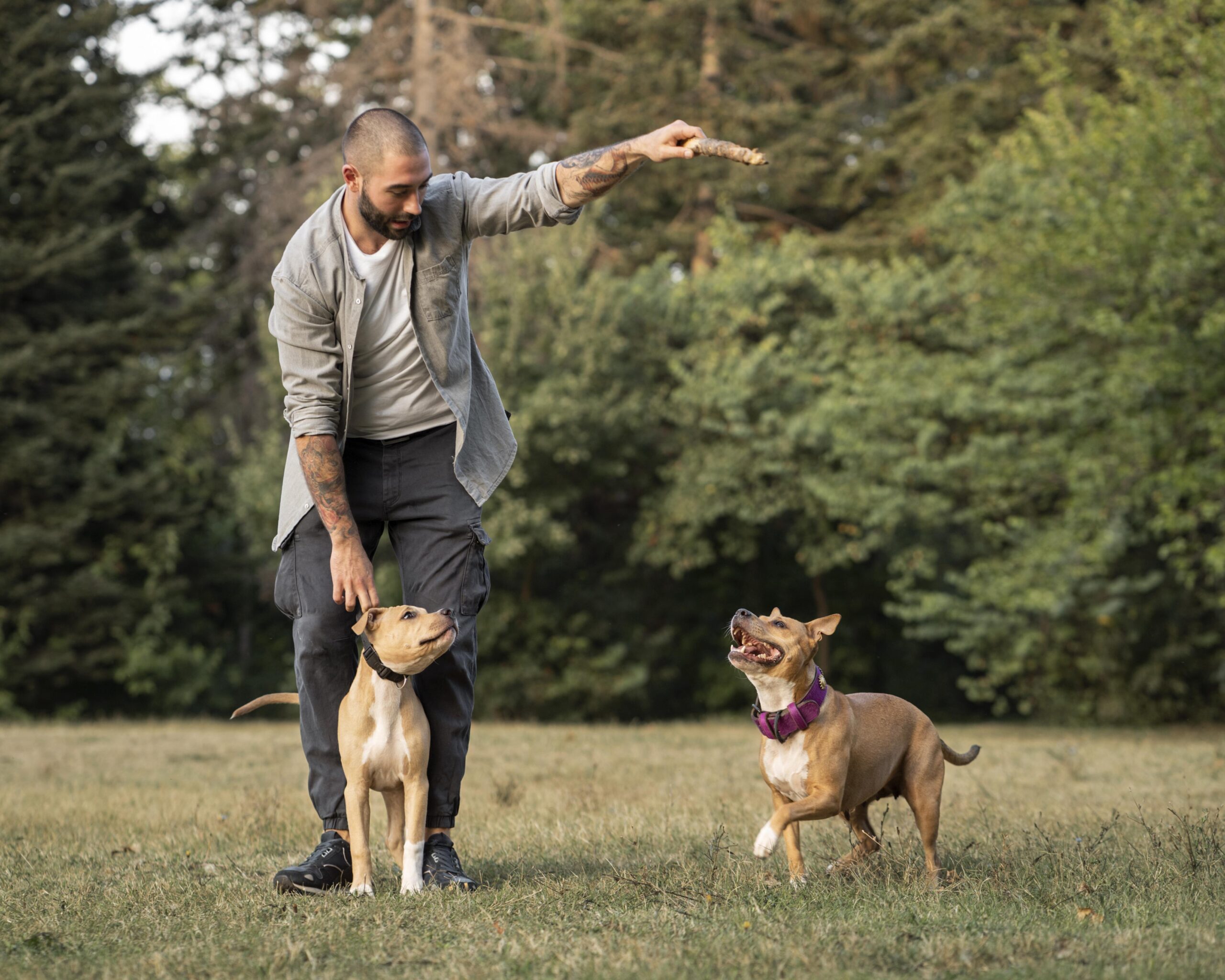 Offleash K9 Training in Northern Virginia