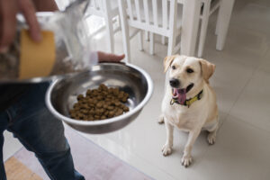 Perfect Feeding Station