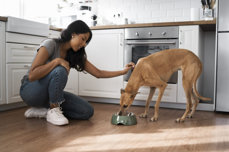 Enhancing Your Dogs Dining Experience: A Guide to Setting Up the Perfect Feeding Station