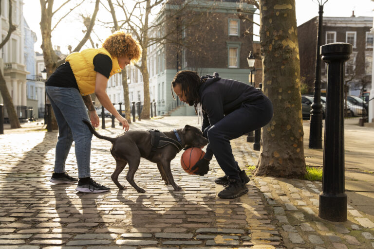 Top Dog Trainers Near You: Find the Best