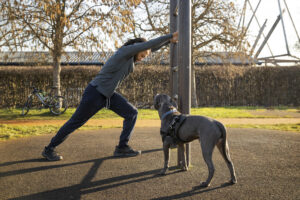 Dog Trainer