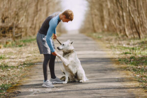 Dog Training at Northern Virginia