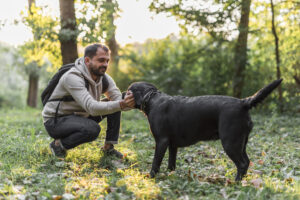 Dog Trainer