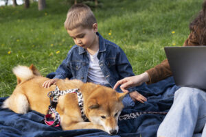 Puppy Schools