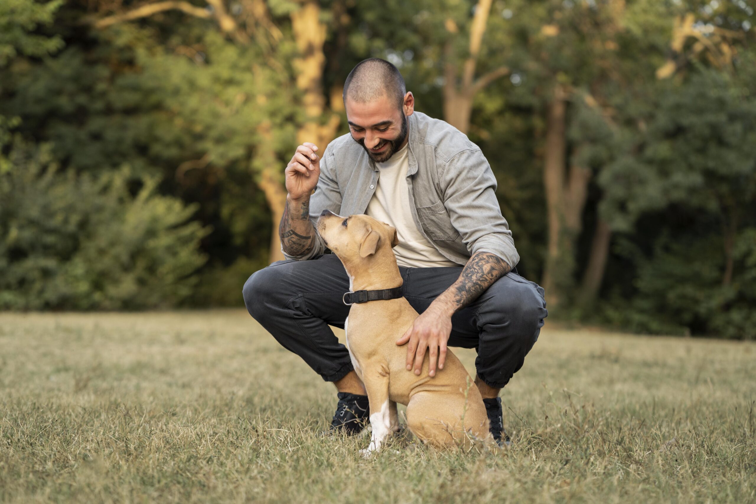 Teaching Dog 5 commands