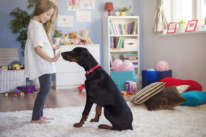 Teaching Dog 5 commands