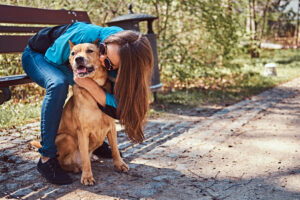 Training Your Dog for Hot Weather Activities