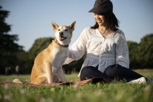 Training Your Dog for Hot Weather Activities