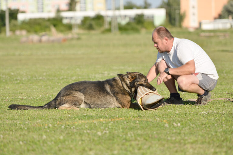 “The Benefits Of K9 Training For Law Enforcement And Security”