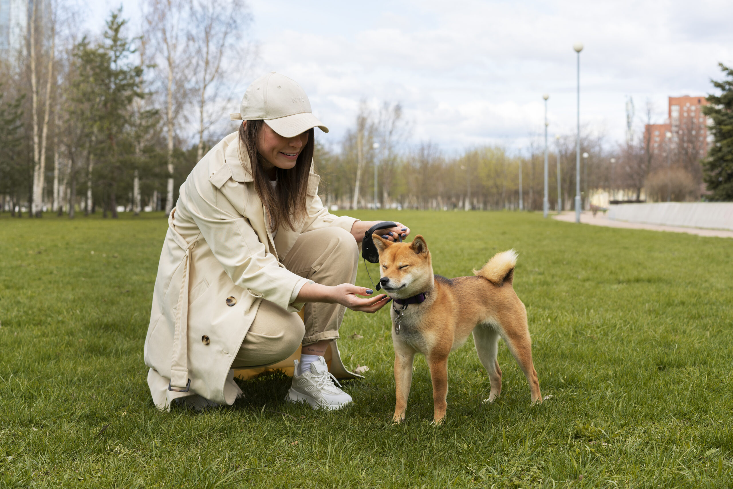 Verbal vs. Hand Signal Dog Training