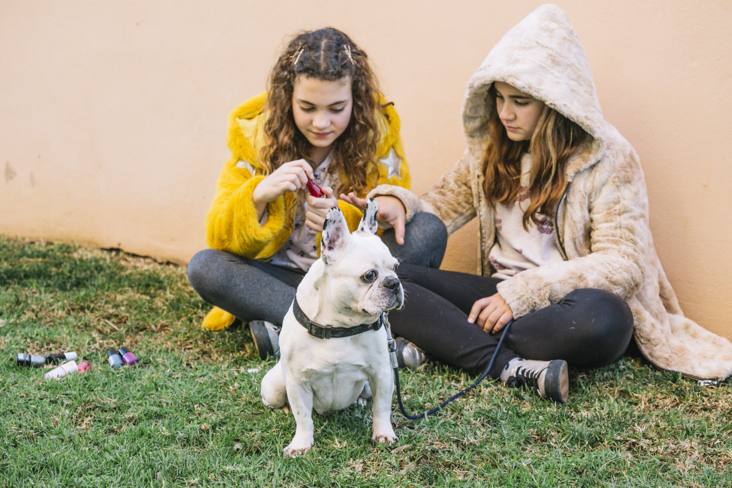 Polite Behaviors Can Help Dogs