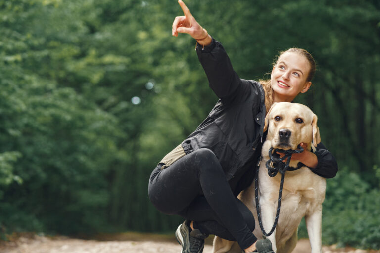 Teach dogs boundaries