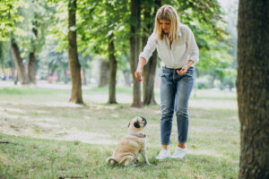 Avoiding Burnout in Your Pet